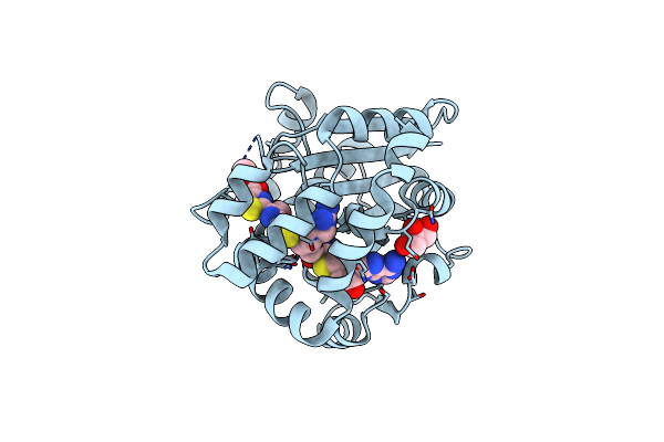5DM2 image