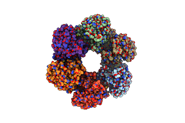 5DM3 image