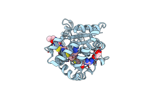 5DM4 image