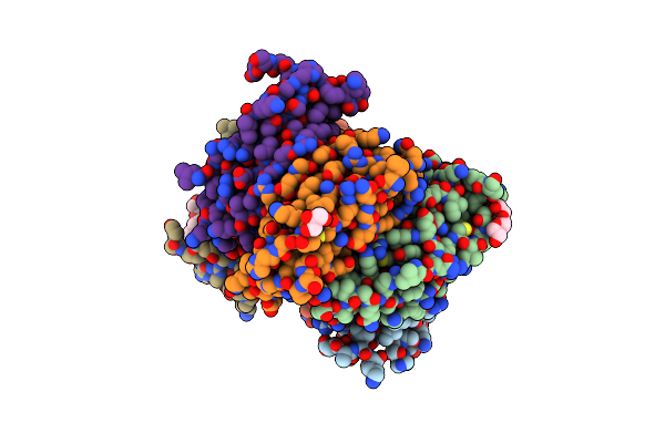 5DM5 image
