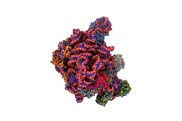 5DM6 image