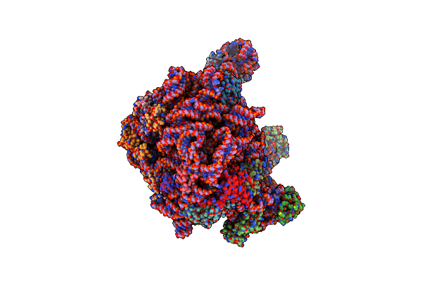 5DM7 image