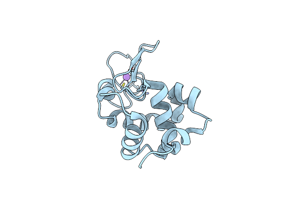 5DM9 image
