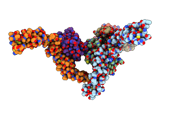 5DMJ image