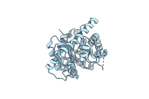 5DML image