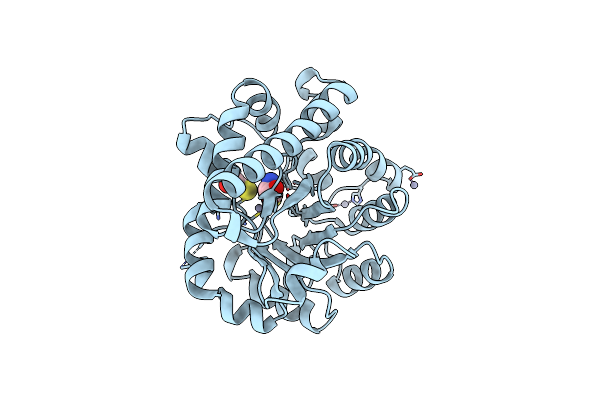 5DMM image