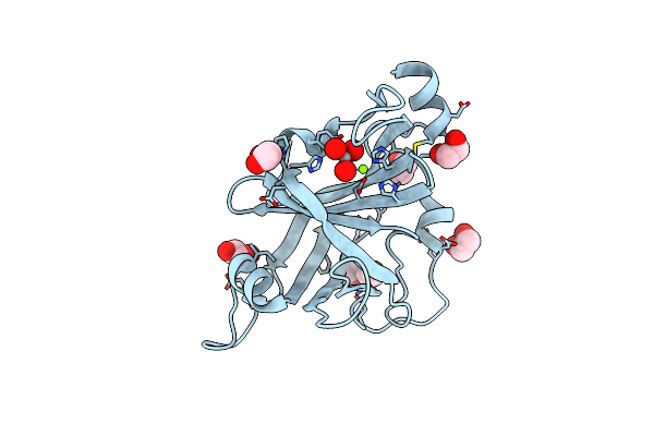 5DMP image