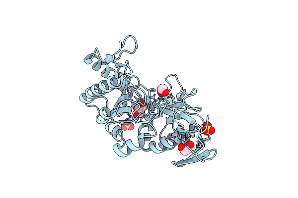 5DMU image