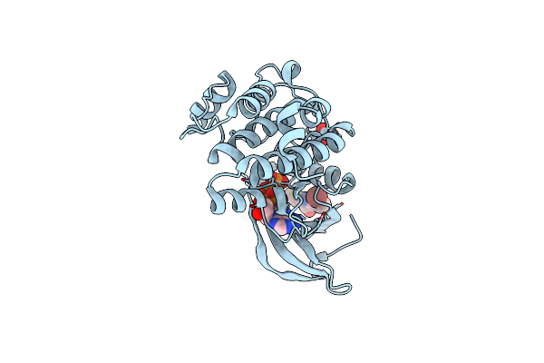 5DN3 image