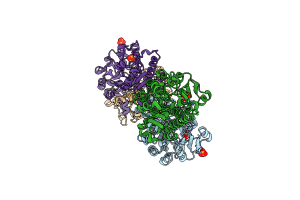 5DNA image