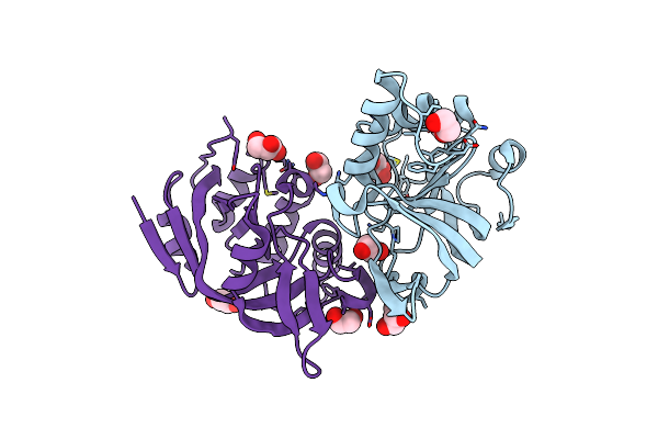 5DNI image
