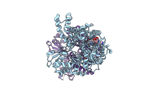 5DNK image