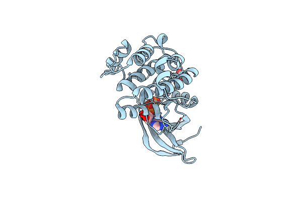 5DNR image