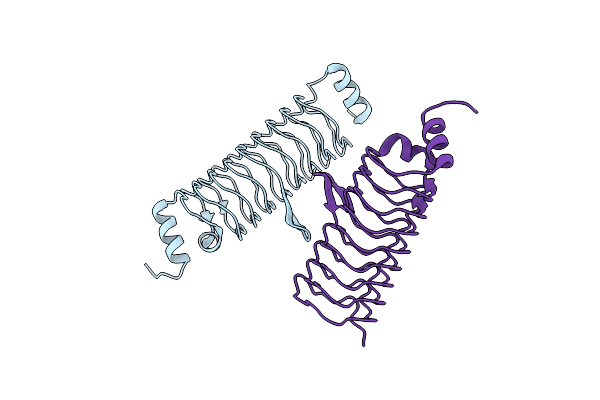 5DNS image