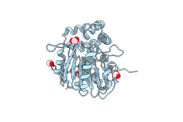 5DNV image