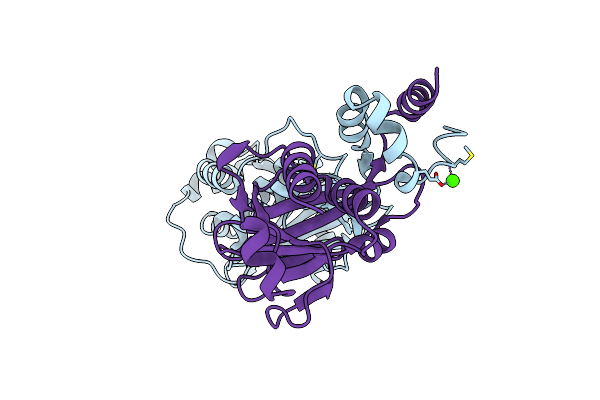 5DOB image