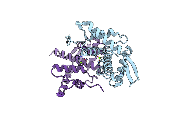 5DOK image