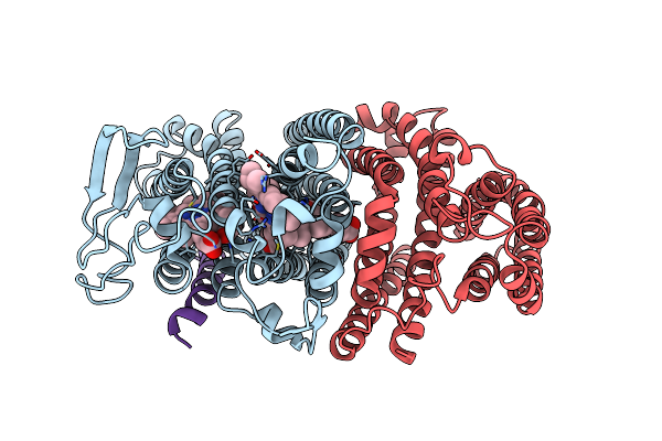 5DOQ image