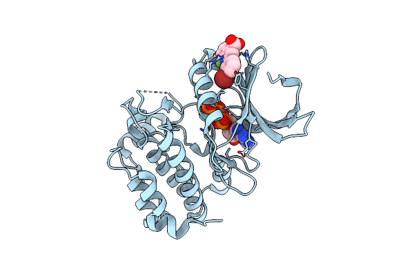 5DOS image