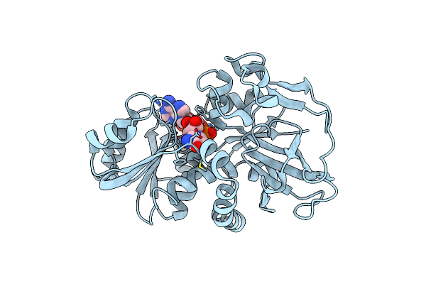 5DP2 image