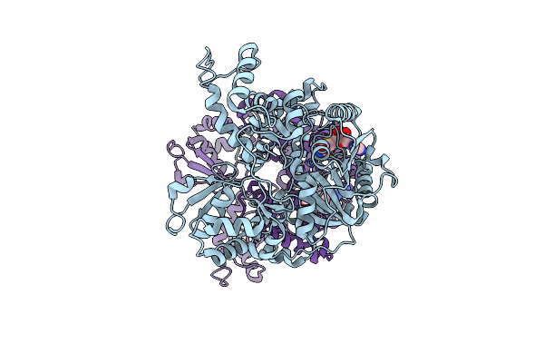 5DPD image