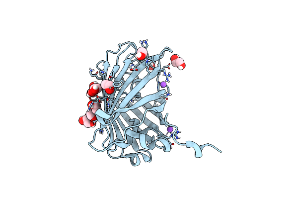 5DPG image