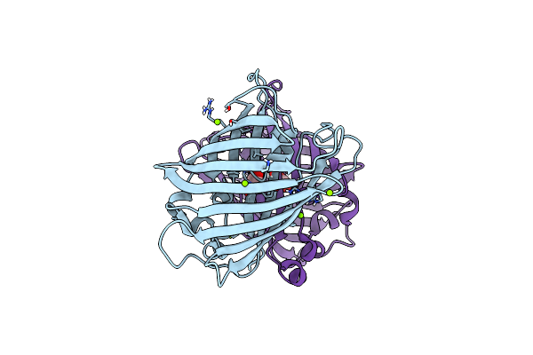 5DPH image