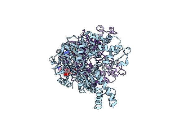 5DPL image