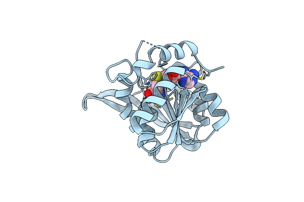 5DPM image