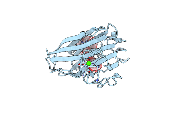 5DPN image