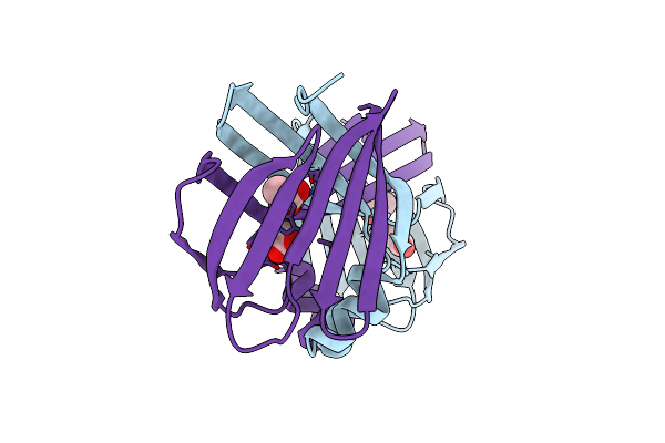5DPQ image