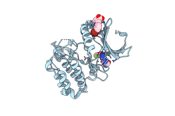 5DPV image