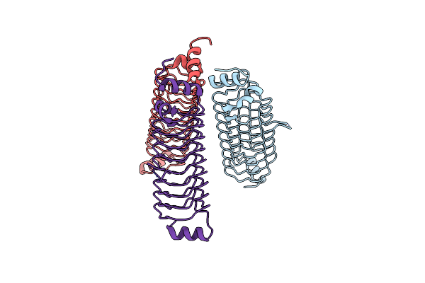 5DQA image