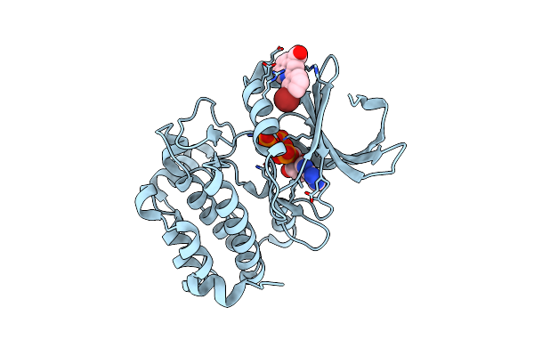 5DR2 image