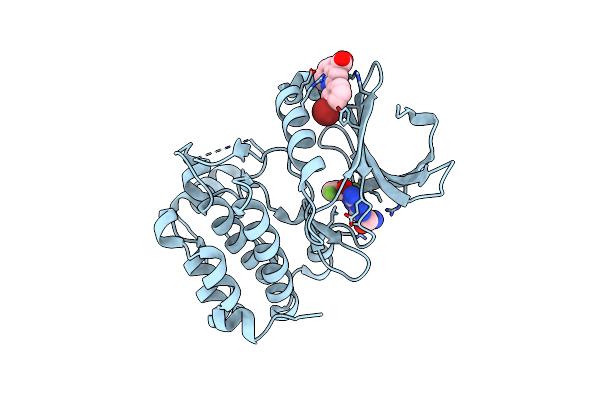 5DR6 image