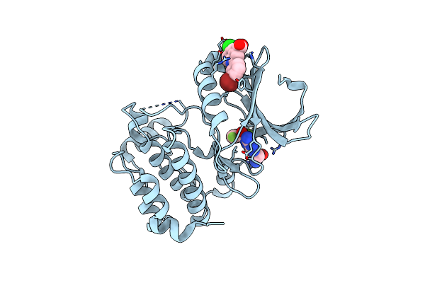 5DR9 image