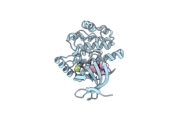 5DRB image