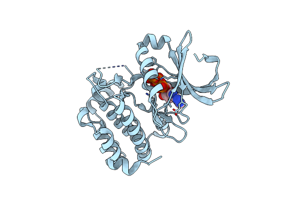 5DRD image