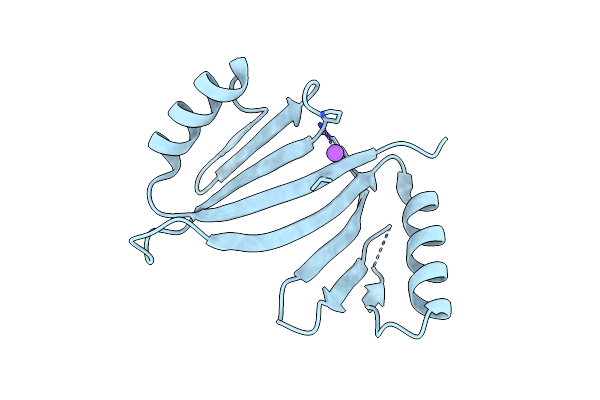 5DRH image