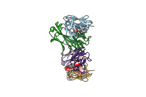 5DRN image
