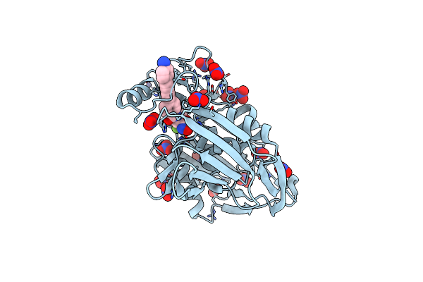 5DRR image