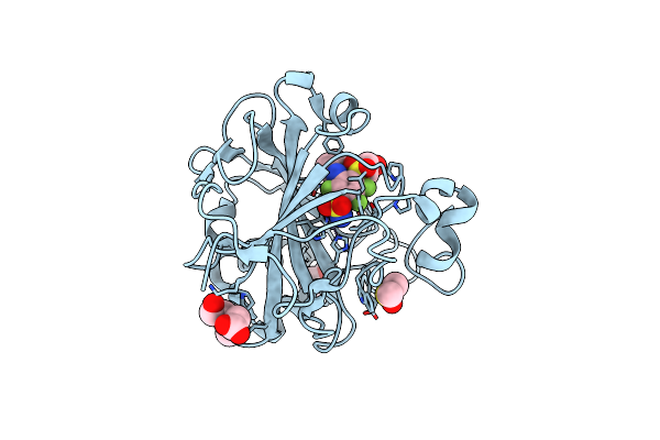 5DRS image