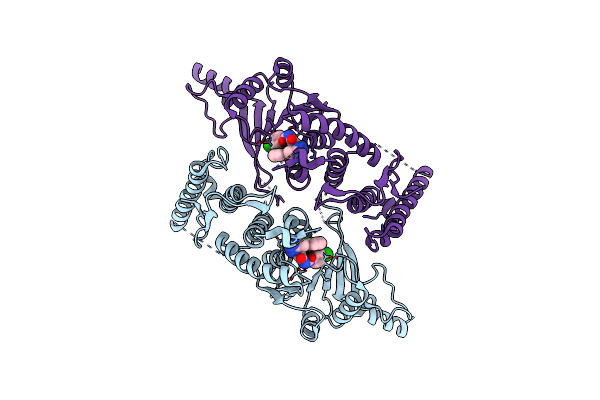 5DRT image