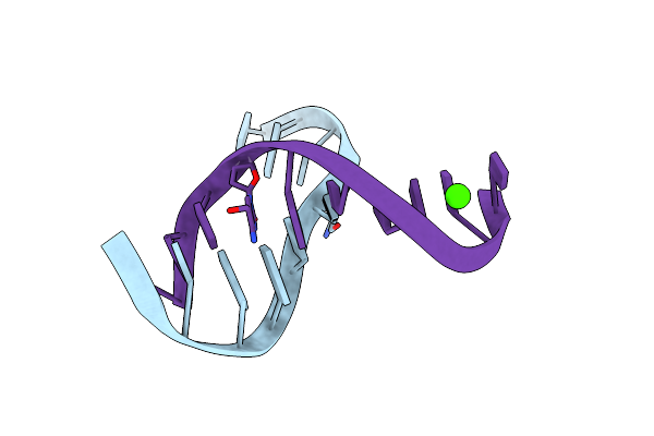 5DSB image