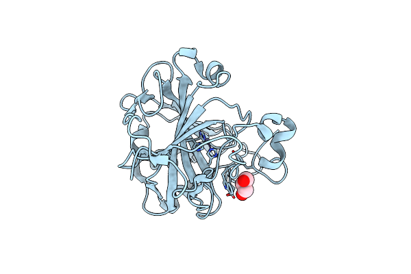 5DSL image