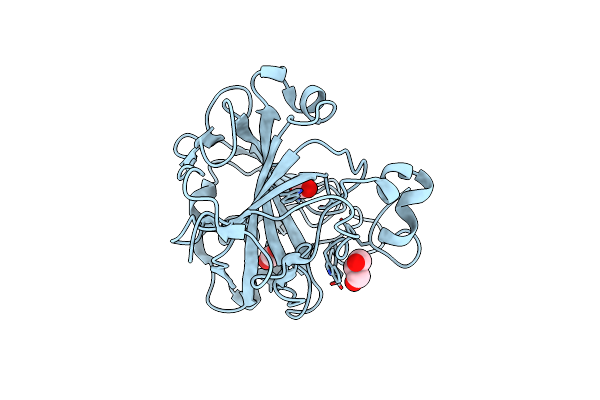 5DSO image