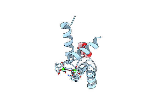 5DSU image