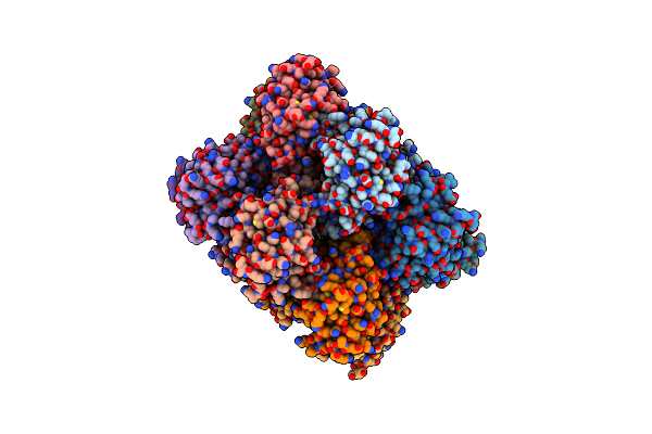 5DSV image