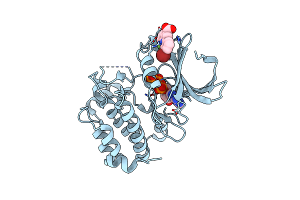 5DT4 image