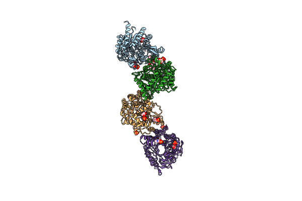 5DT7 image
